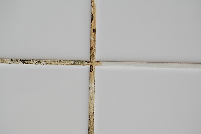 grout cleaning