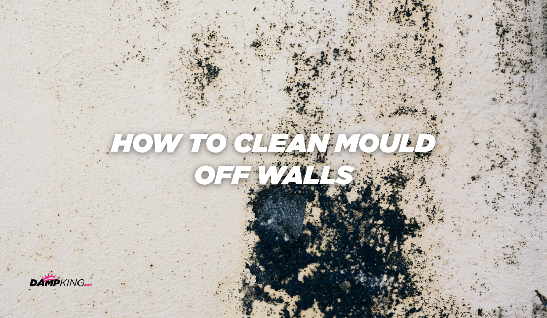 How to Clean Mould Off Walls