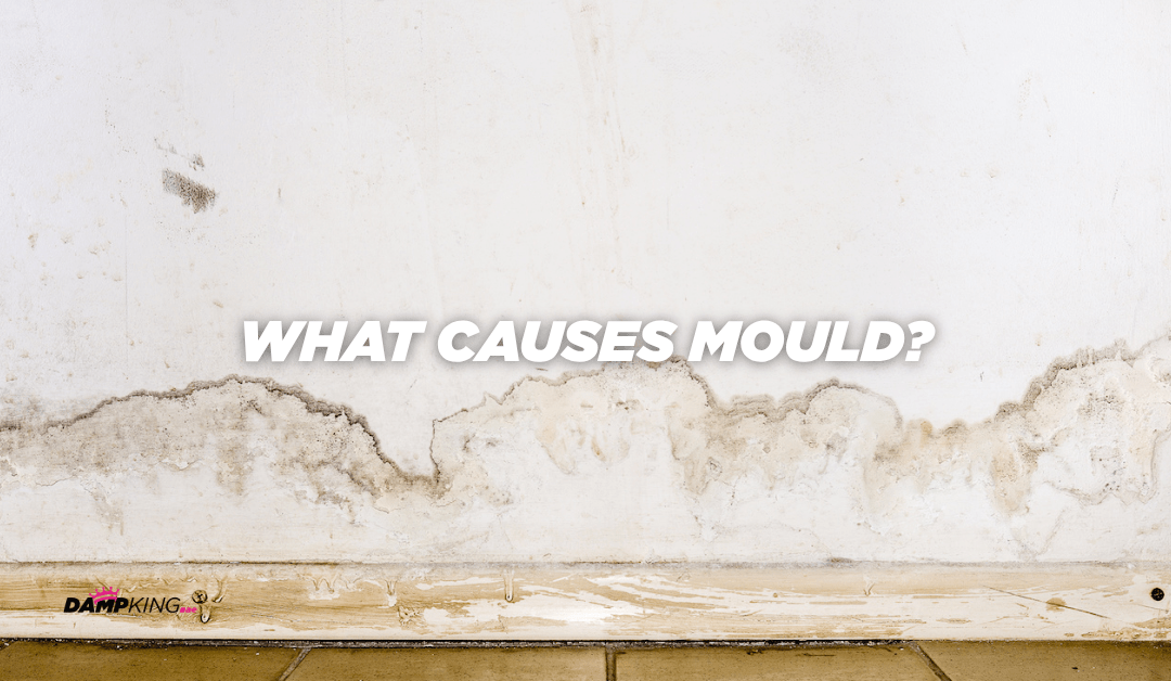 What Causes Mould