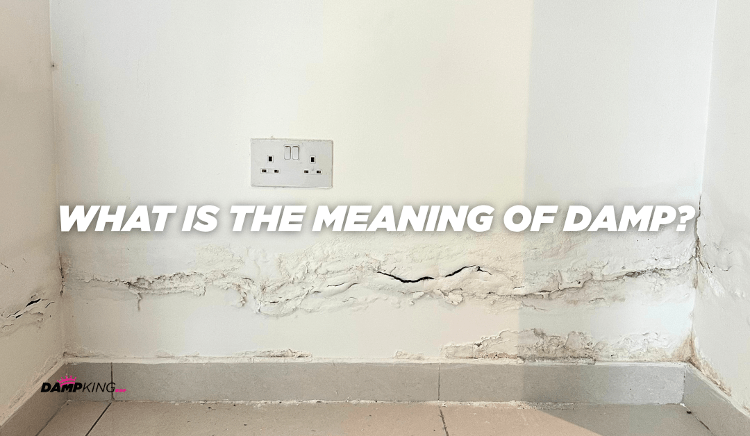 What Is the Meaning of Damp