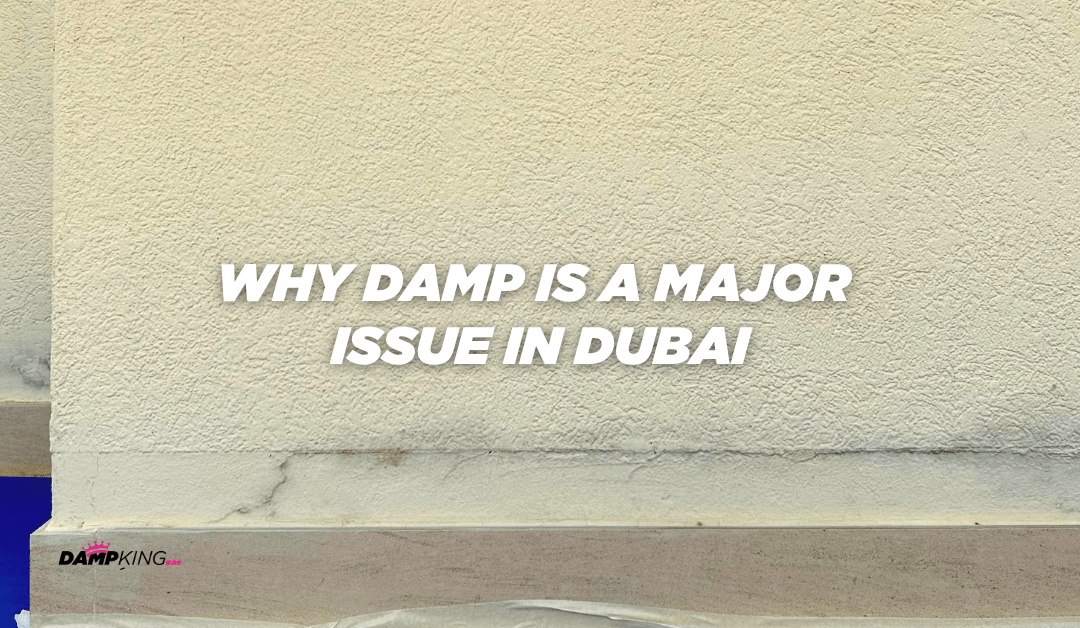 Why Damp Is a Major Issue in Dubai