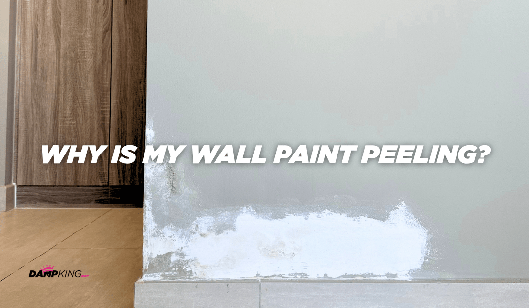 Why Is My Wall Paint Peeling